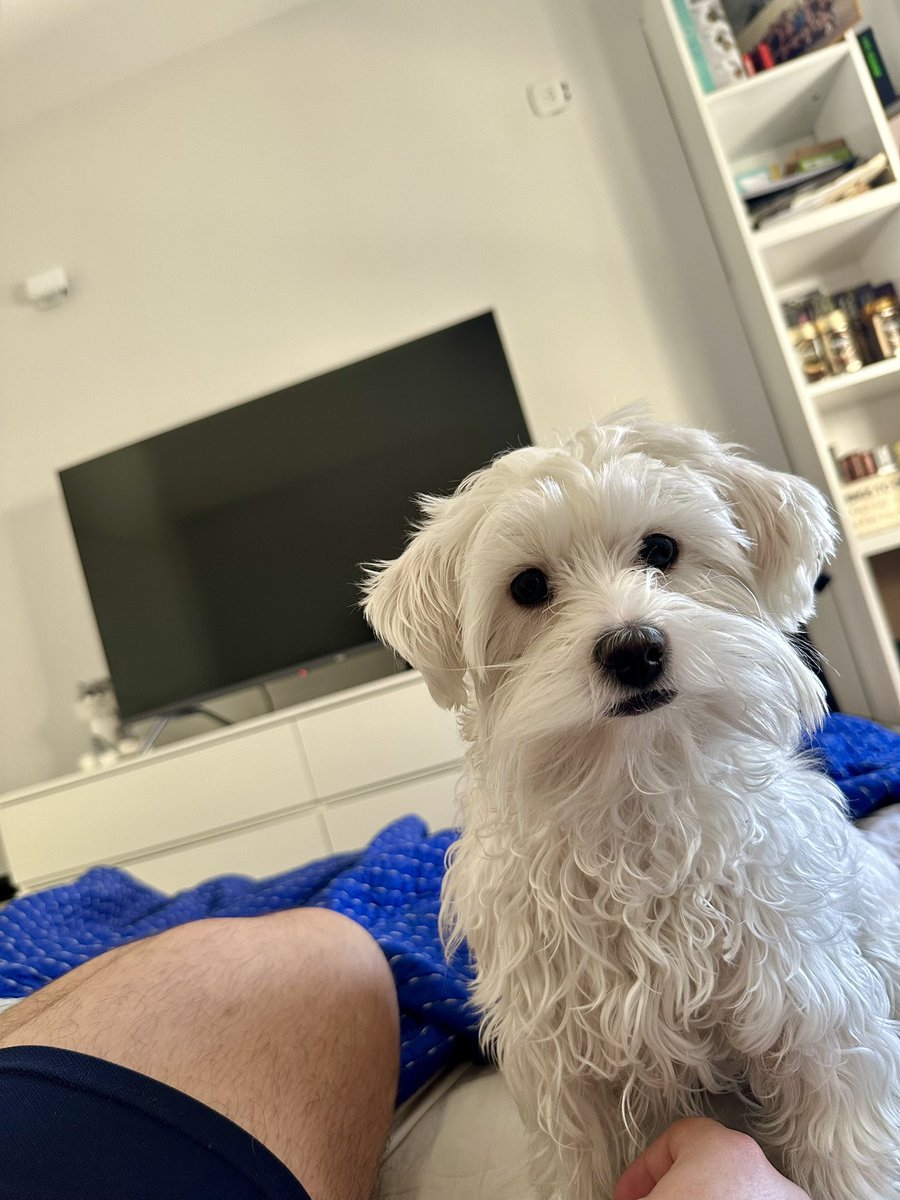 Ella sabe cuando estoy sad, y se trepa en la cama y me da besos en las manos ❤️