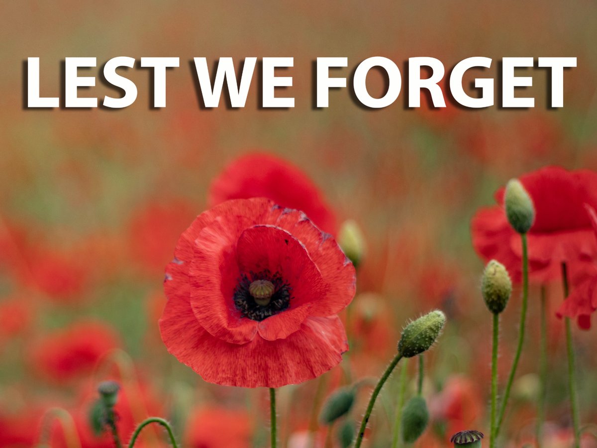 LAVA Computer MFG tweet media