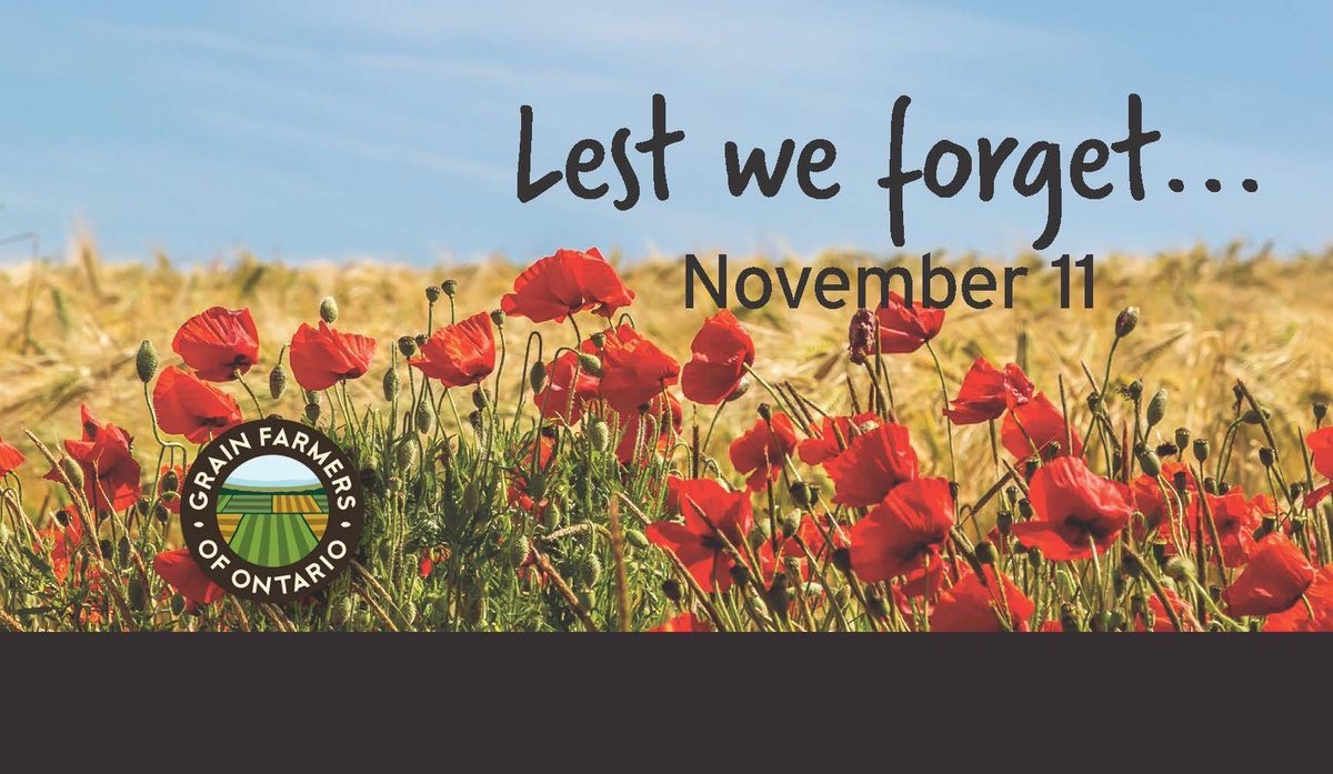 Today and everyday, we remember. #LestWeForget