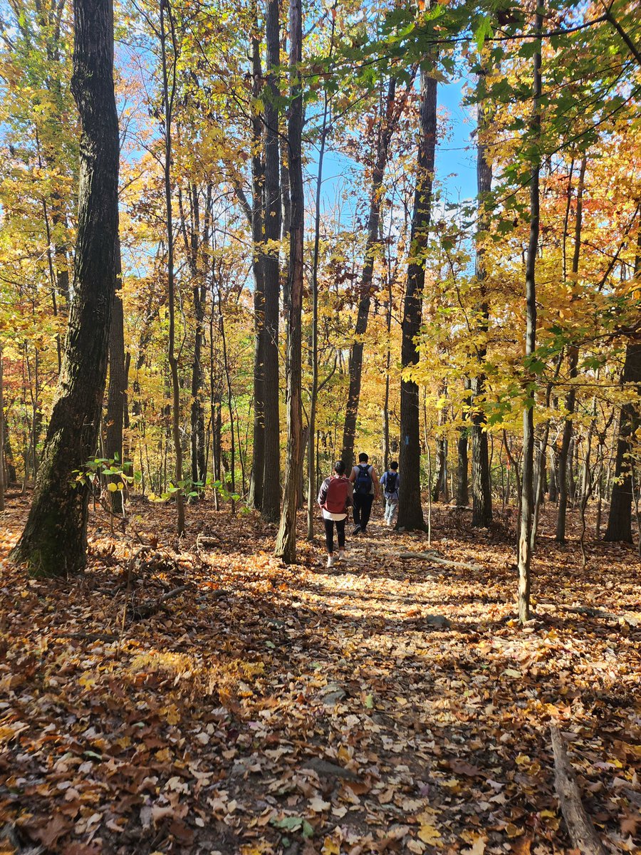 ecolatinos_org's tweet image. This past week, EcoLatinos collaborated with the Langley Park Community Center on a field trip to South Mountain State Park. 10 Mis Quince students, a recreational group of high schoolers, joined us through the Annapolis Rock Trail and for lunch at the destination. 🥾 🌞 🌳