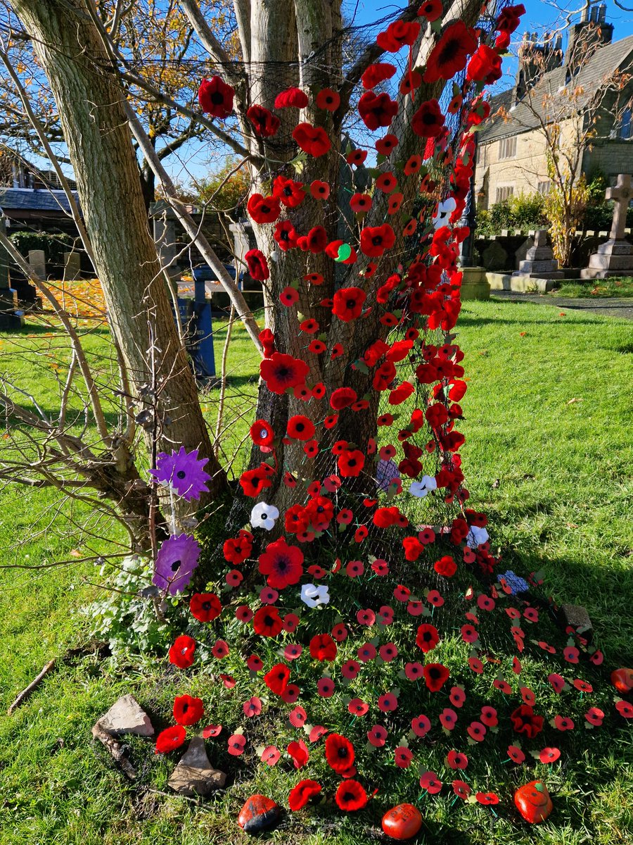 Christ Church Healey tweet media