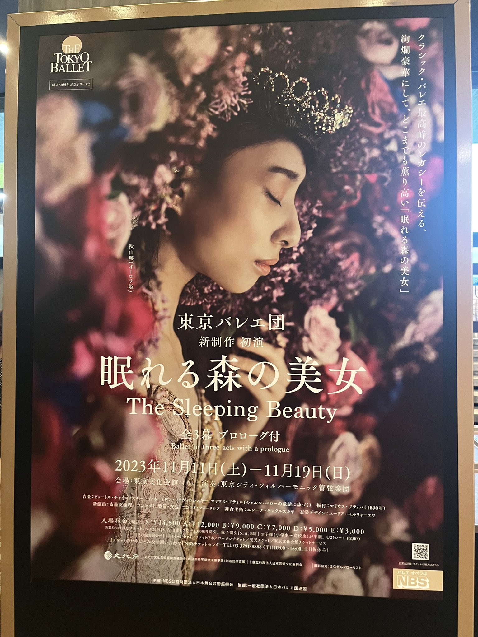 大阪11/3】熊川哲也Kバレエ「眠れる森の美女」S席1枚