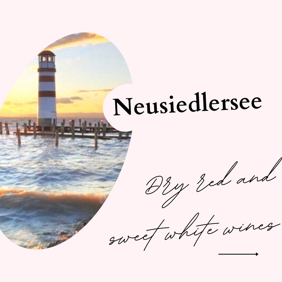 winebymlle's tweet photo. π Embark on a journey through the captivating vineyards of Neusiedlersee, where wine whispers tales of unparalleled diversity and unique terroir! ππ·
https://t.co/vI0jvsUVVD
#NeusiedlerseeMagic #AustrianWineJourney #WineArtistry #BurgenlandWines #SipTheStory https://t.co/uU1L7V6hjc