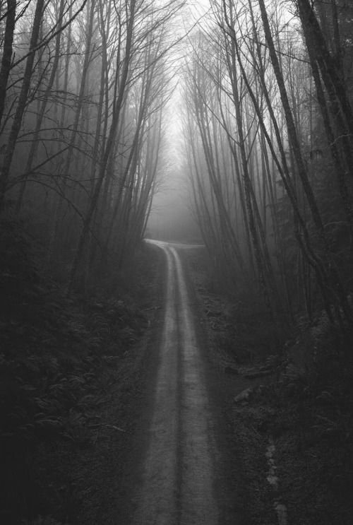 NIN75_'s tweet image. The path........