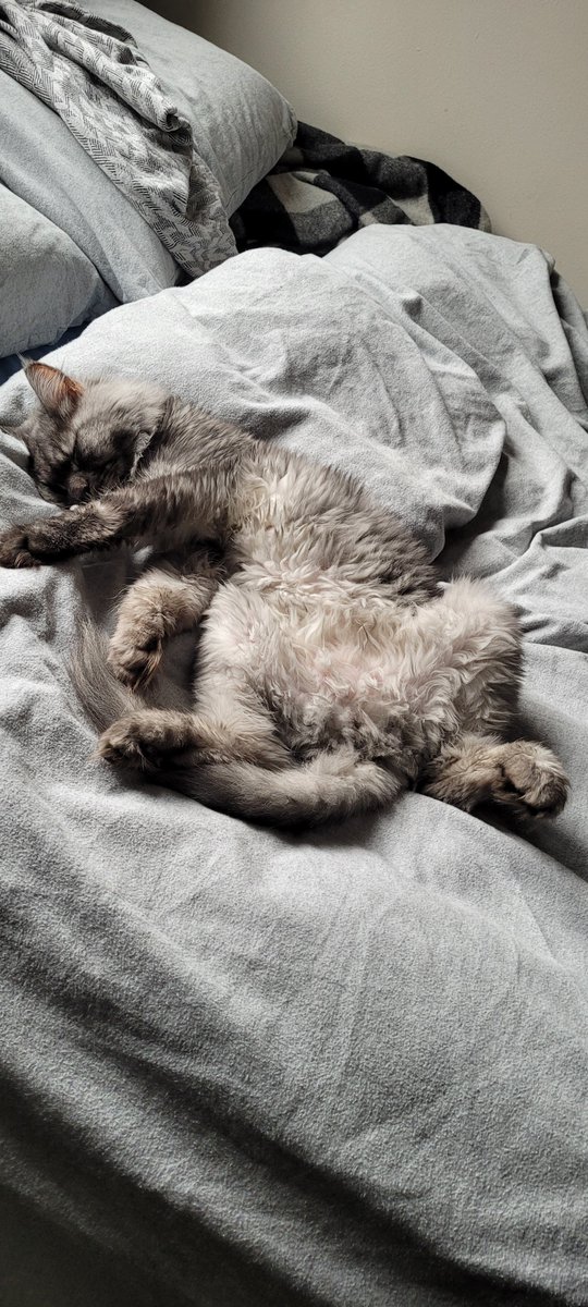 He exposes his belly because he trusts you. Because he loves you. But not only would it wake him, he would see it as an attack with no provocation.

So we let him lie content in the sun. Basest urges tamed. The body subservient to the mind. Now I'm gonna goon to 09s vintage cumpi