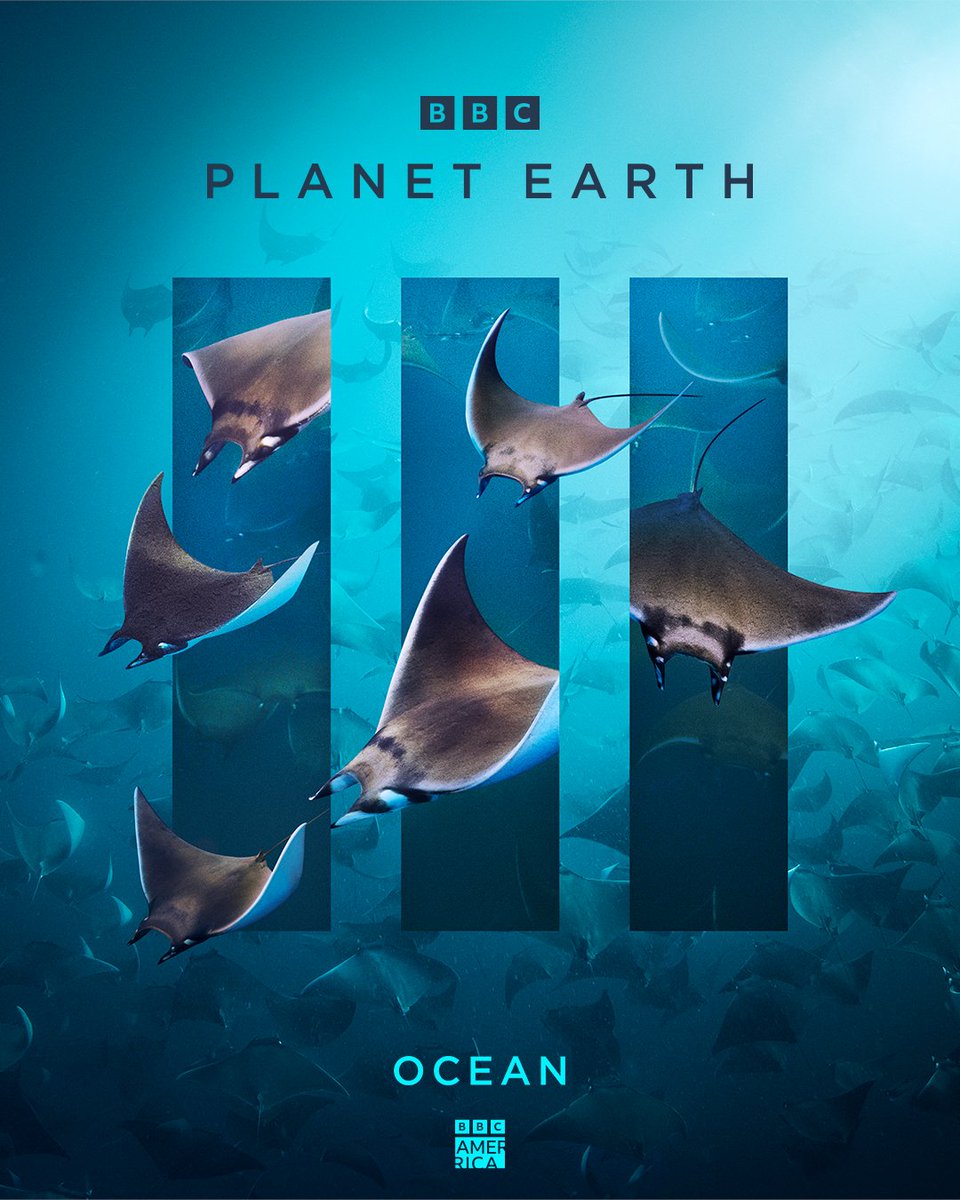 The largest habitat of all, the open ocean is the ultimate realm of new discovery, housing countless secrets that we are continuing to unlock. A new #PlanetEarth3 premieres tonight at 8pm!