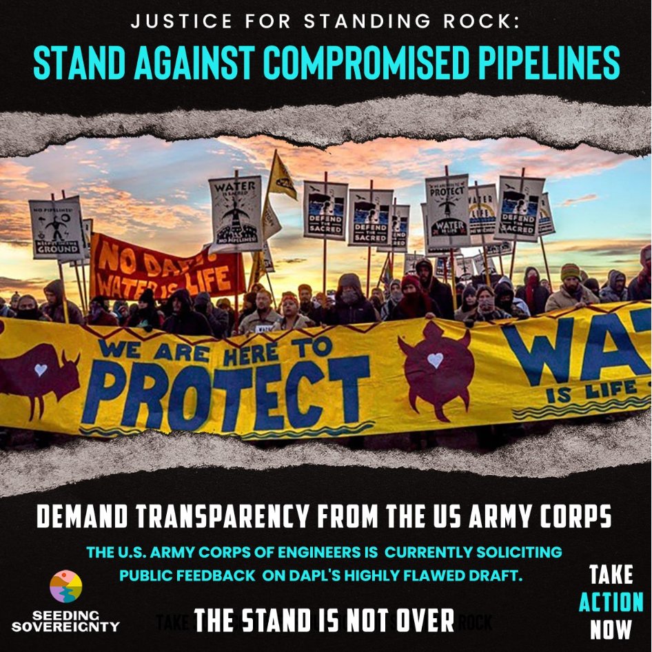 CTA 🔇Please take 5 minutes before the Monday, November 13 deadline to sign the Standing Rock DAPL Petition asking for an unbiased Environmental Impact Statement (EIS) for the Dakota Access Pipeline! 🔗 actionnetwork.org/letters/justic… #standwithstandingrock⁠ #NODAPL⁠