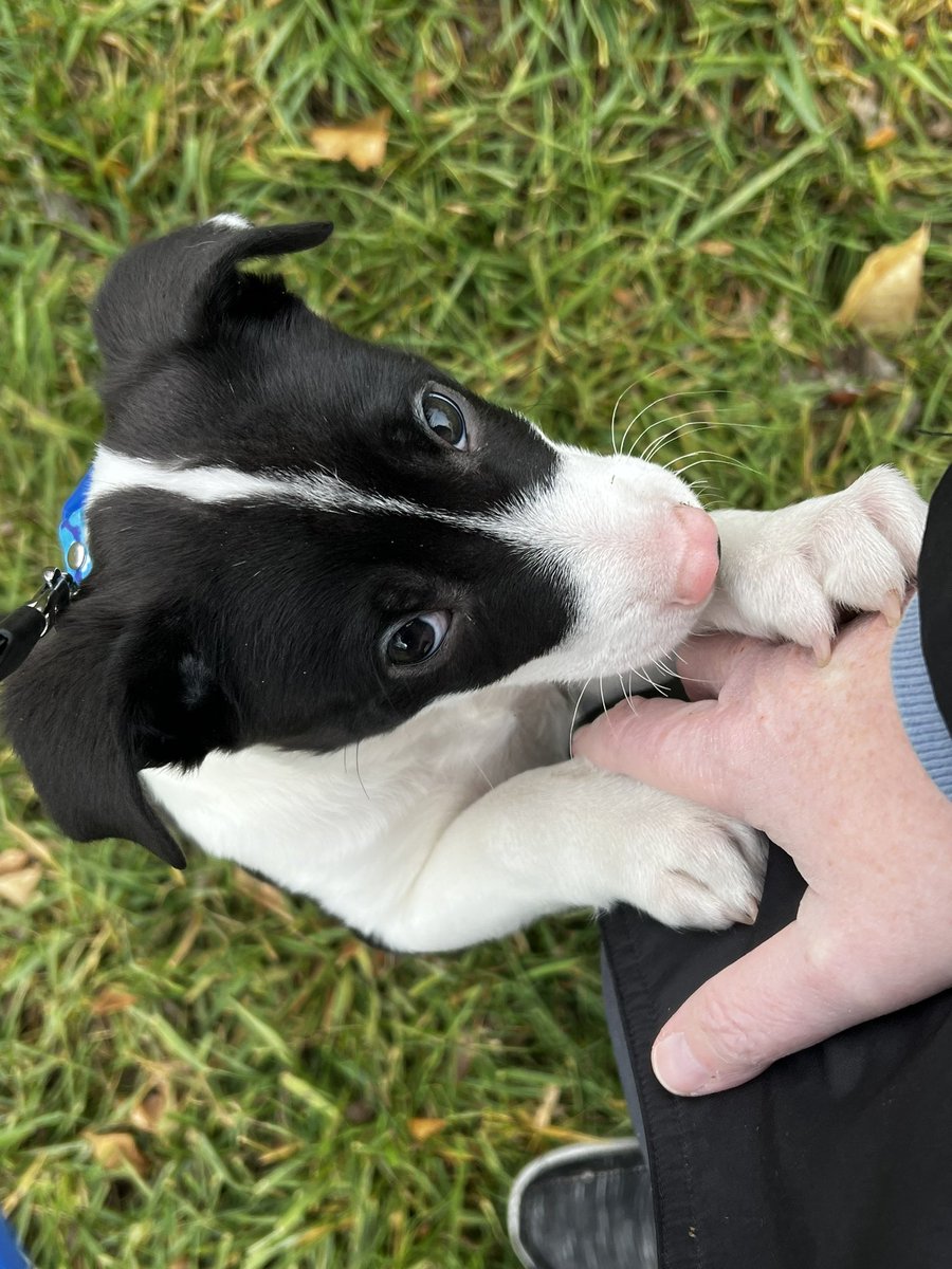 New glamor shots just dropped 😍🥰