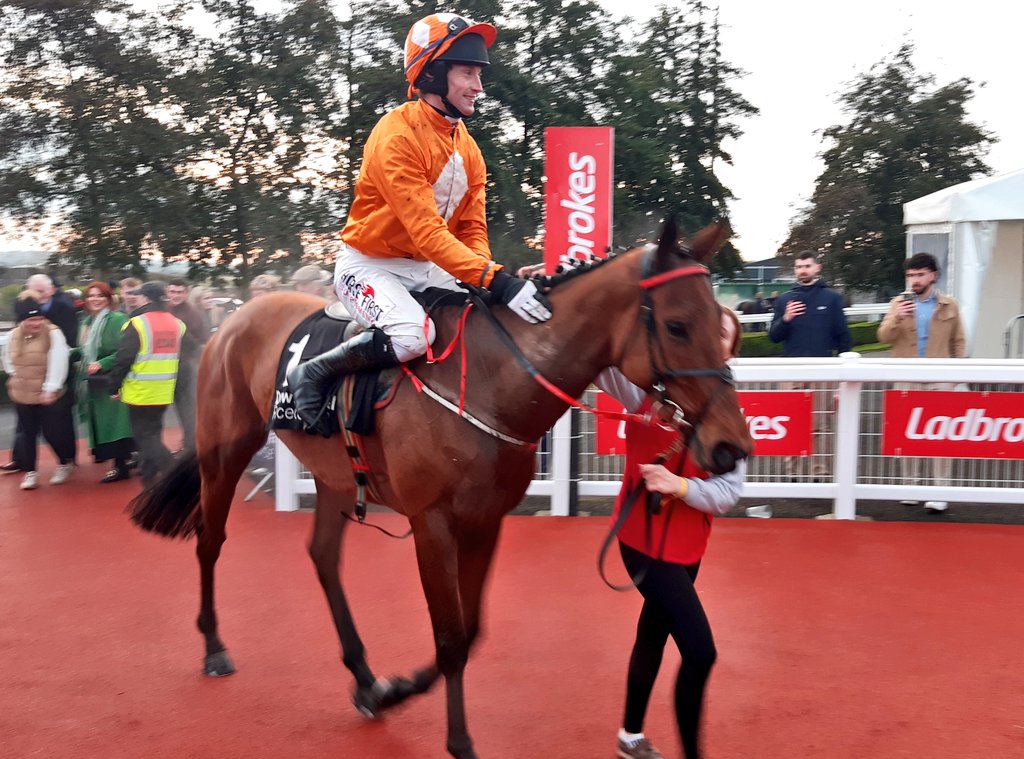 IrishRacing365's tweet photo. Big Dee and Johnny Barry @Downroyal https://t.co/s5P98ehEhO
