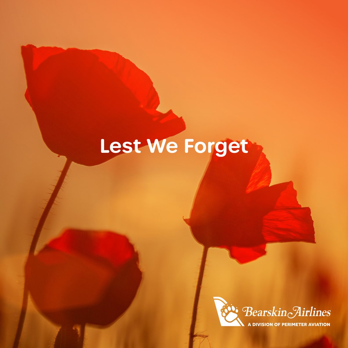 🍁 Today, we stand united in gratitude and solemn remembrance of the courageous men and women who dedicated their lives to serving Canadan and made the ultimate sacrifice for our freedom. 🎖️🌹 #RemembranceDay #LestWeForget #CanadaRemembers #BearskinAirlines  #HonouringHeroes