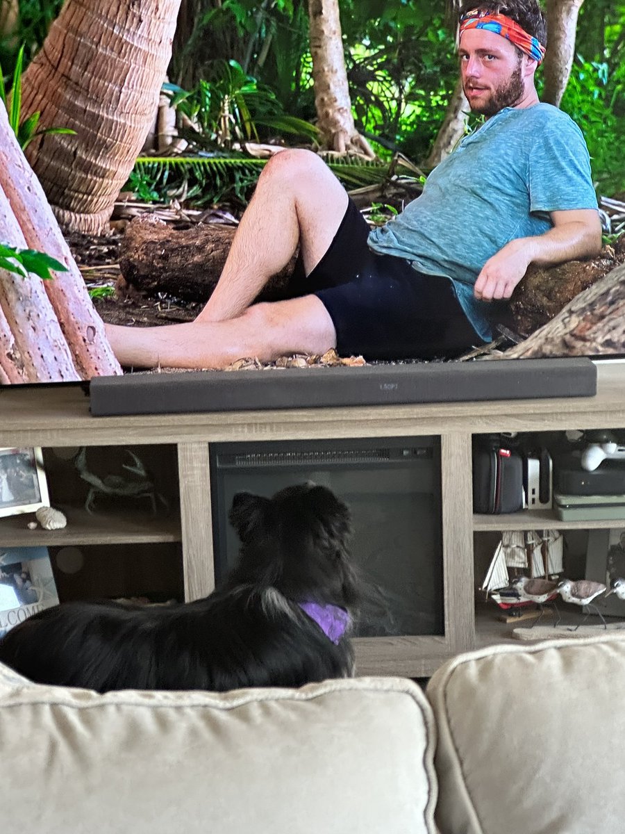 spider__webb's tweet photo. Crush is the #2 @survivorcbs fan in this house https://t.co/tMEWohuPYr