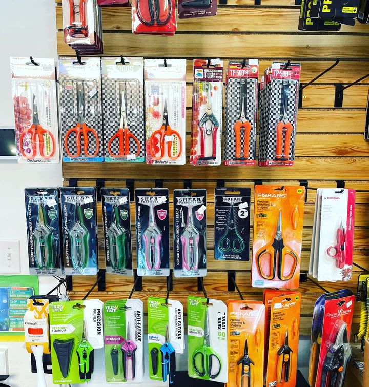 While I’m trim jail this season don’t get trimmer fatigue. Get the right pair of shears for you. 25 different pairs in stock today to choose from. #chikamasa #shearperfection #piranhapruners #fiskarspruner #saboten