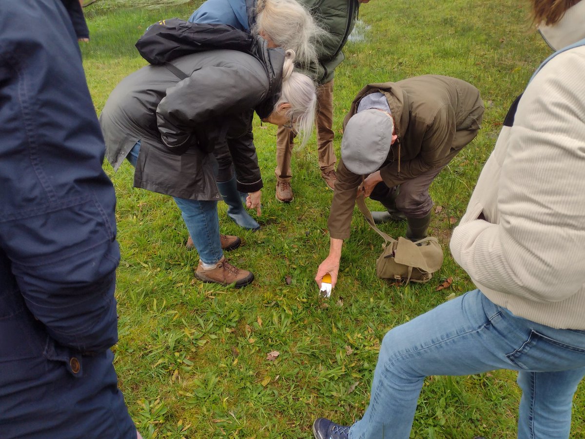 Harry Grevers tweet media