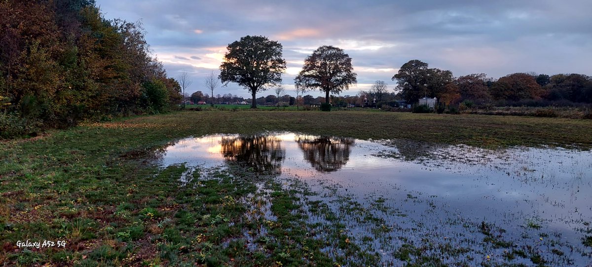 Harry Grevers tweet media