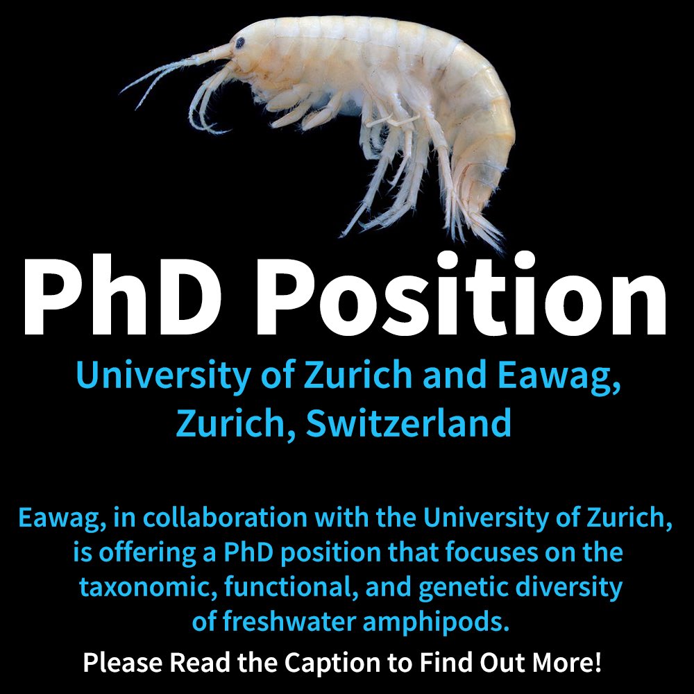 🔬 Phd in Amphipod biodiversity! 🦐 

Eawag and University of Zurich offer a fully funded 4-year PhD in genetic, functional, and taxonomic diversity of freshwater amphipods! 🧬 Apply by 10 Dec 2023: altermattlab.ch 

📷Gammarus langi by Andrew Cannizzaro (CC)
