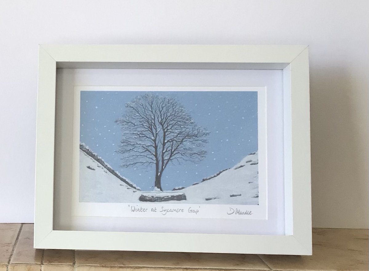 Excited to share the latest addition to my #etsy shop: Sycamore Gap in Winter etsy.me/3QCMcLn #framed #landscapescenery #horizontal #pencildrawing #artprints #landscapedrawings #christmas #xmasgifts #sycamoregap #northumberland #hadrianswall dmdrawingsshop.etsy.com