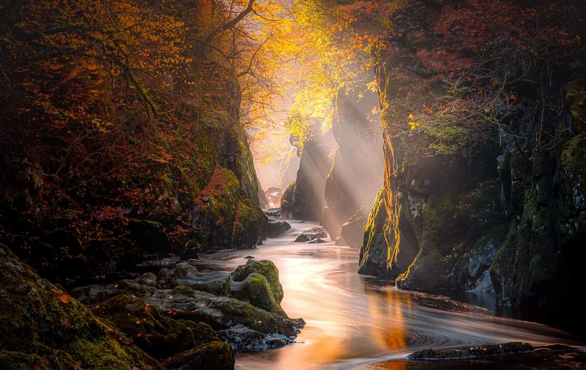 Gareth Mon Jones tweet media