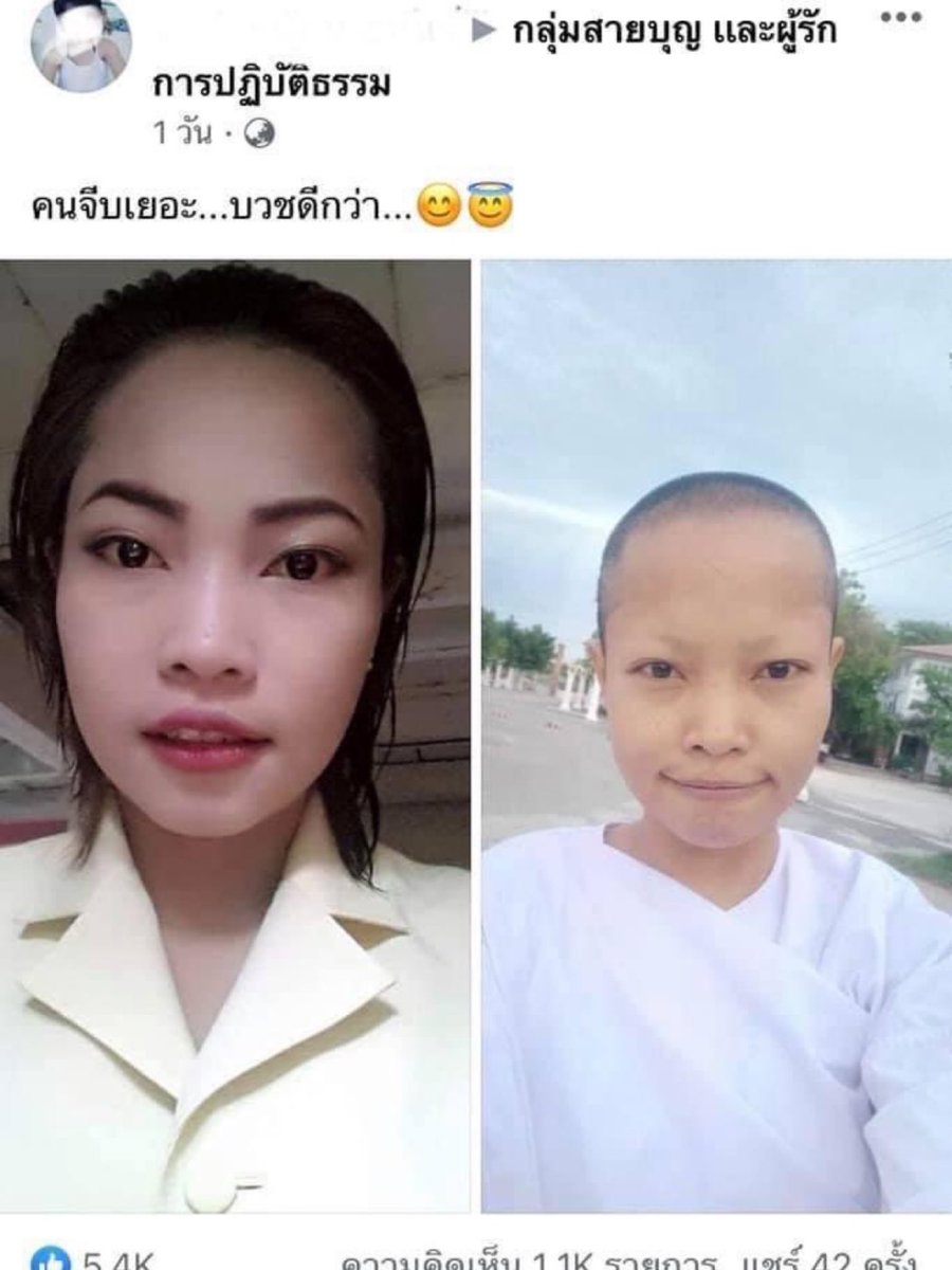 แม่งูเอ๋ย (มาๆหายๆ) ft. over shared (@candleinjanuary) on Twitter photo 