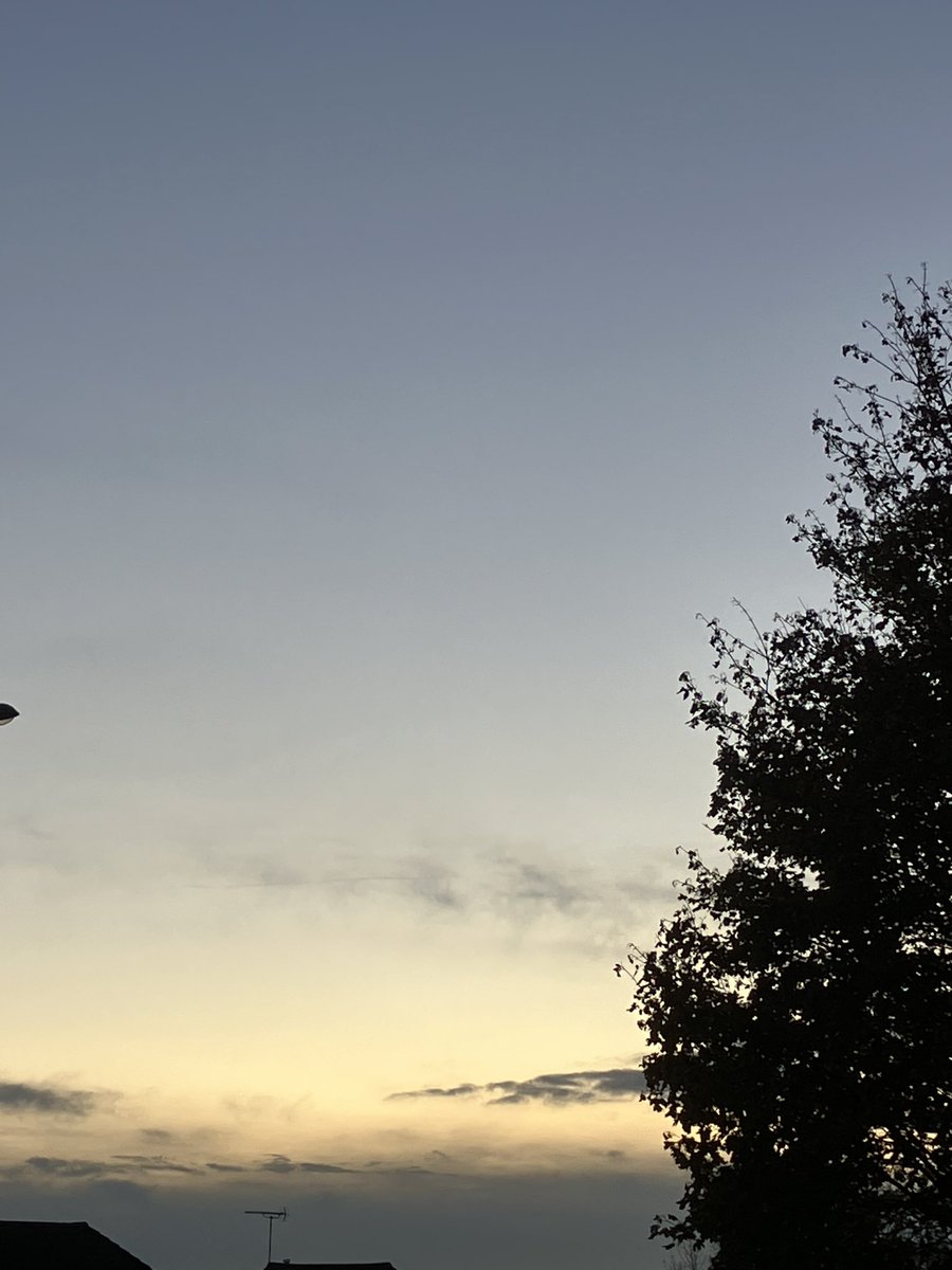 Evening walk with trees and streetlights, and sunset