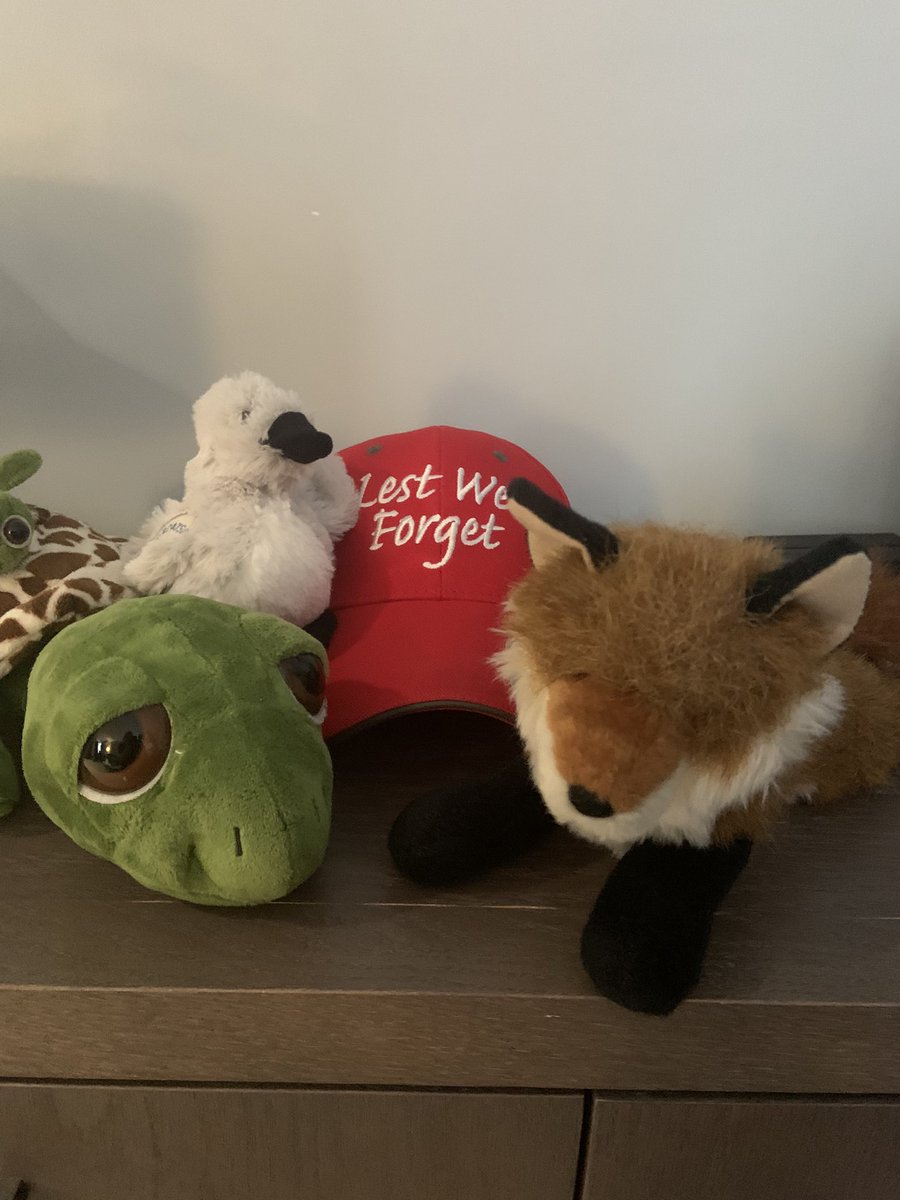 Kit explained to her friends about Remembrance Day, how we are quiet, take our hats off and stand for the playing of Taps and the moment of silence.  We do this to respect those who fought and died fighting for our country. #kitsamazingadventures