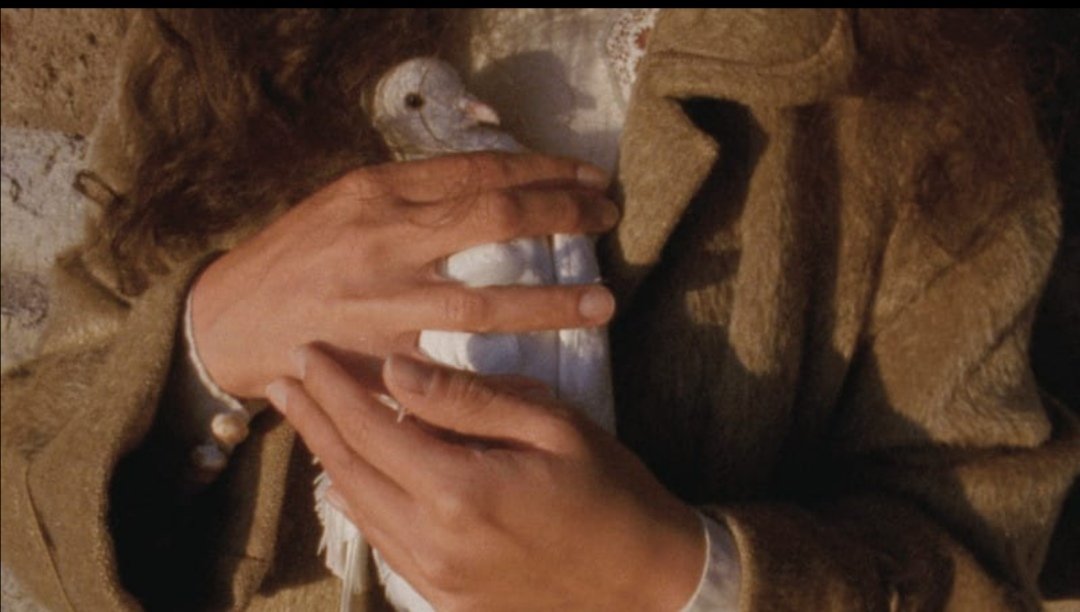 ***
Mutlu bir batık gibi dibinde yaşıyorum onun
Yalnızlığım onun hazinesi, o bilmese de!

¶ René Char