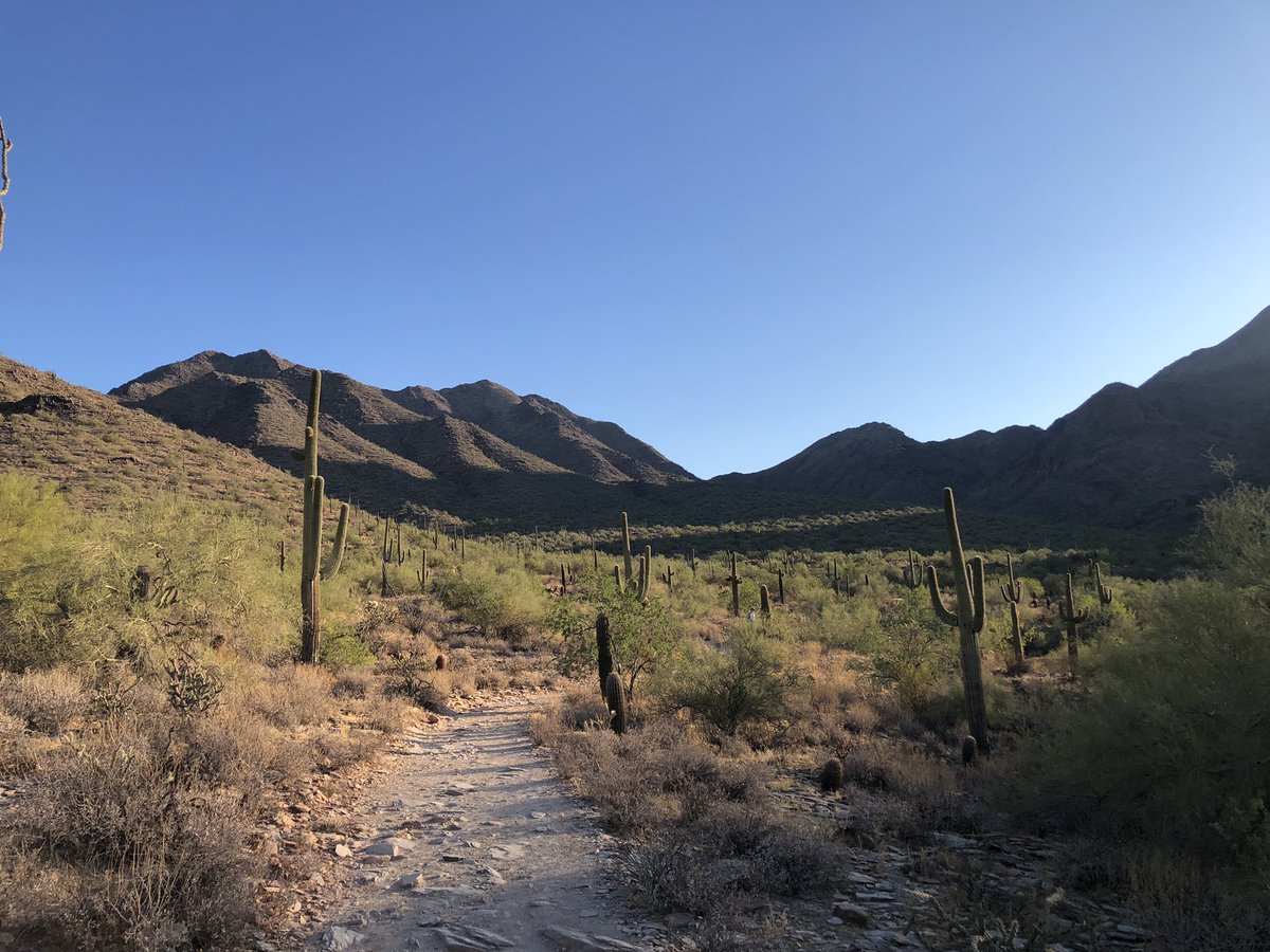 GLChristopher's tweet image. The Gateway Loop Trail in Scottsdale today. Chasing the sun.