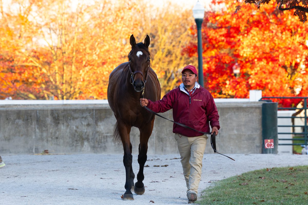 Welcome to the Pin Oak family, Bamberooski (by Empire Maker) 💙 #KEENOV