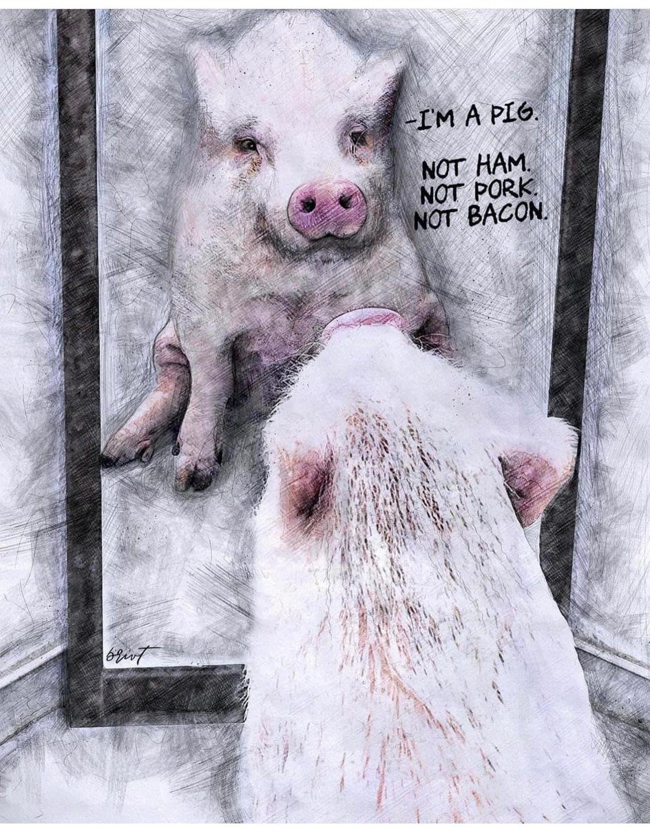 “The question is not, can they reason, nor can they talk, but can they suffer?” - Jeremy Bentham (1789) 🎨 Artwork from @artfully.vegan