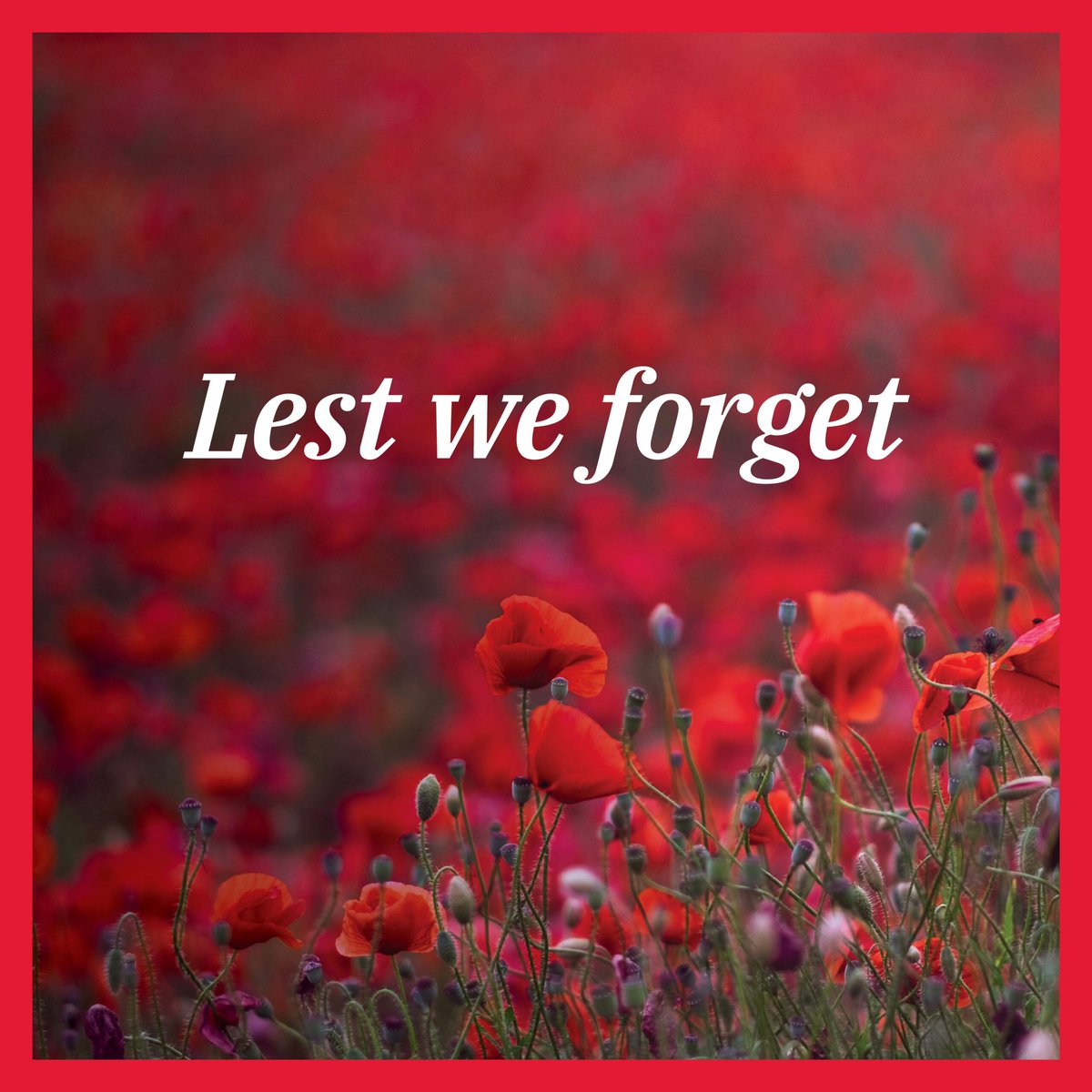 Today, on Remembrance Day, we pause to honor and express our deepest gratitude to the brave men and women who have served in the Canadian military. At Axon Canada, we thank all veterans for their selfless service and commitment to preserving our nation's values and liberties 🇨🇦