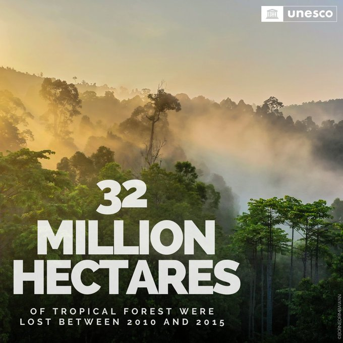 UNBiodiversity's tweet photo. Witness the consequences unfold before us.

Species vanishing.

Nature's realms shrinking.

Pollution tainting soil and water ecosystems crumbling.

This stark reality is our legacy.

But it's not too late to change course.

Let's salvage our precious #biodiversity.

Via @UNESCO https://t.co/nlvPZDGnoI