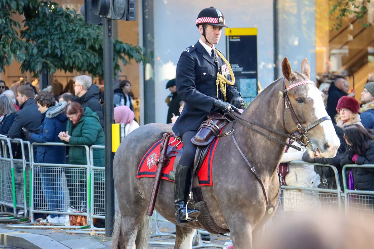 r_j_snaps's tweet image. The Lord Mayor's Show ✨️

@CityHorses @CityPolice #LordMayorsShow #PHGilbert #PHPollard