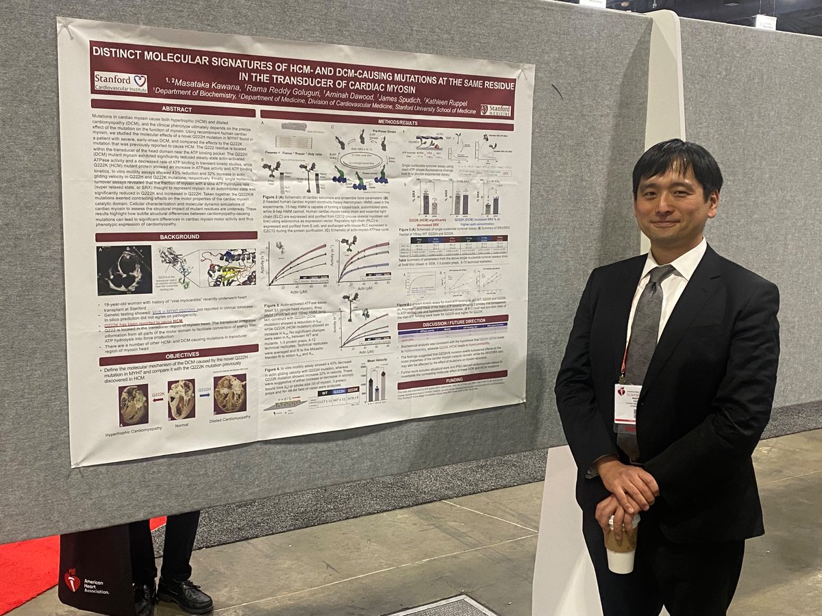 Amazing work by #Dr.Kawana @StanfordMed @StanCVFellows describing how mutations in a same gene can have different phenotypes of DCM vs HCM. A cool study by a superstar physician scientist and myosin biologist :) #AHA23 @AHAScience @AHA_Research @StanfordCVI