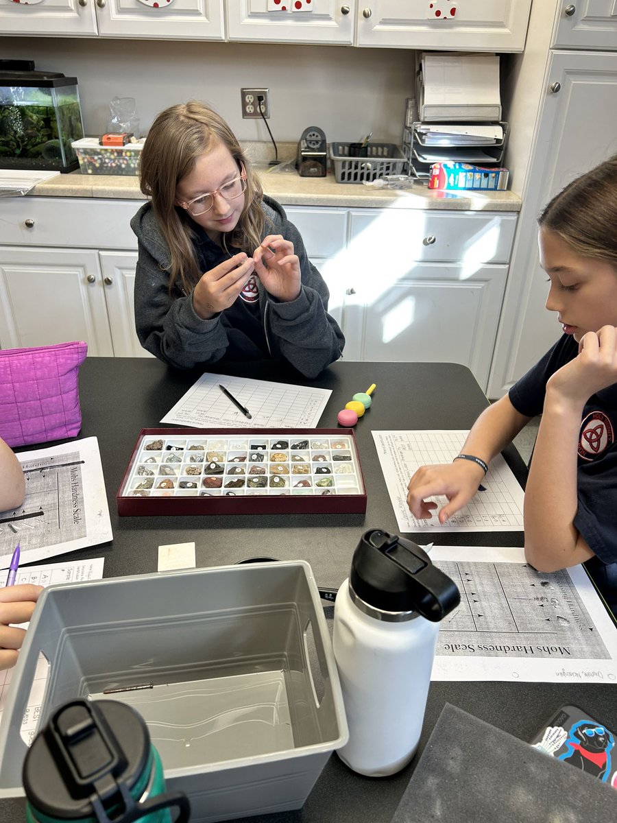 MrsTriplett_HTS's tweet photo. Mineral Identification is always a crowd pleaser in 6th grade science! https://t.co/271S8gZJsN