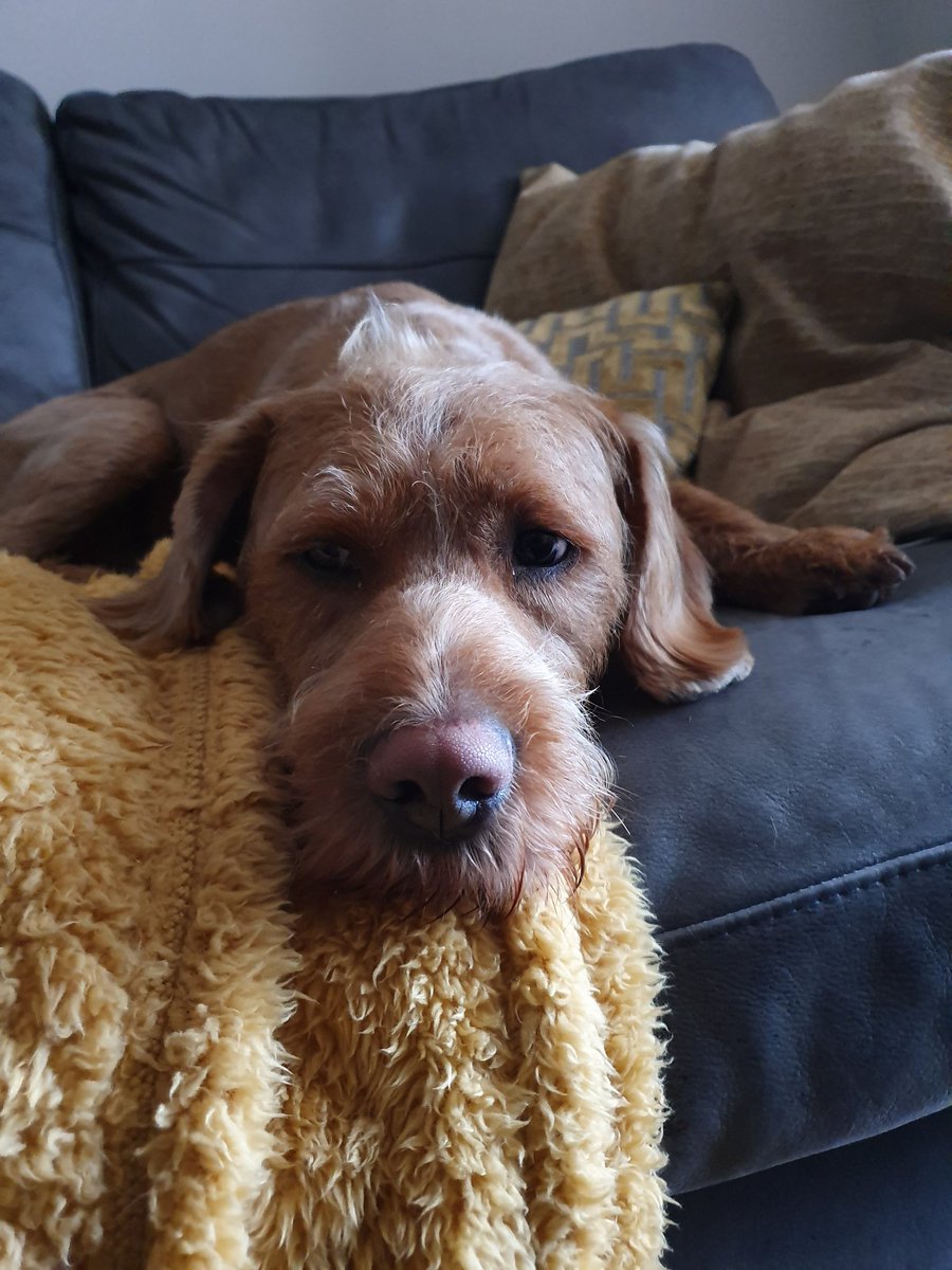 Ali Garb 😊🐞🐛🦋 tweet media