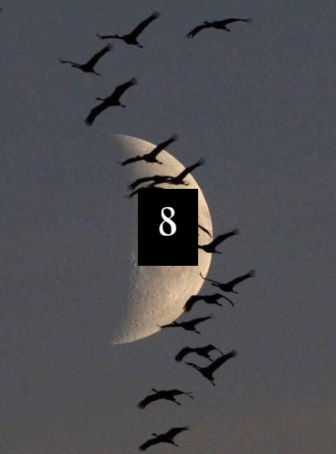 #SlamWords #76thEdition #encore - round 8             

Your prompt this round: never lose hope                                                         

#GuestHost - @Carolinagrl7

Write a Scene or Dialogue // *all styles-genres welcome*  

#LetsWrite
