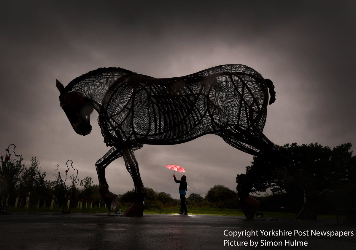 The War Horse at Featherstone #RemembranceDay #RemembranceDay2023 see saturdays @yorkshirepost @MarisaCashill @JayMitchinson #photography #WeWillRememberThem #Poppies @saveourshires