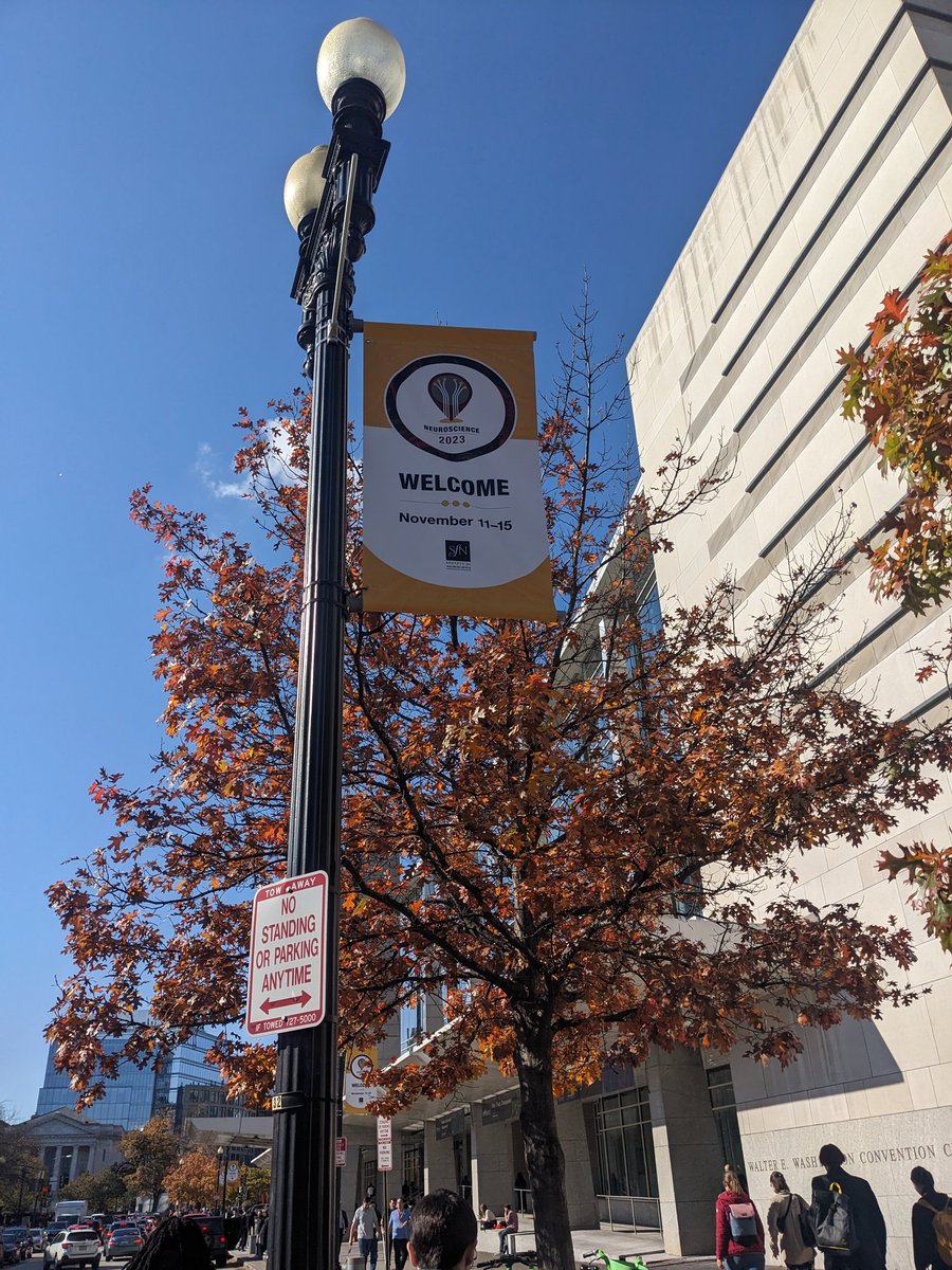 Hey X-twitter world!
Excited to be at #SfN2023 in D.C. this year!
Although must admit, the jingling badges are an interesting choice, it feels like Christmas in the seminar room 😂
If anyone is around, give me a shout and we can go be excited about #neuroscience together! ☺️