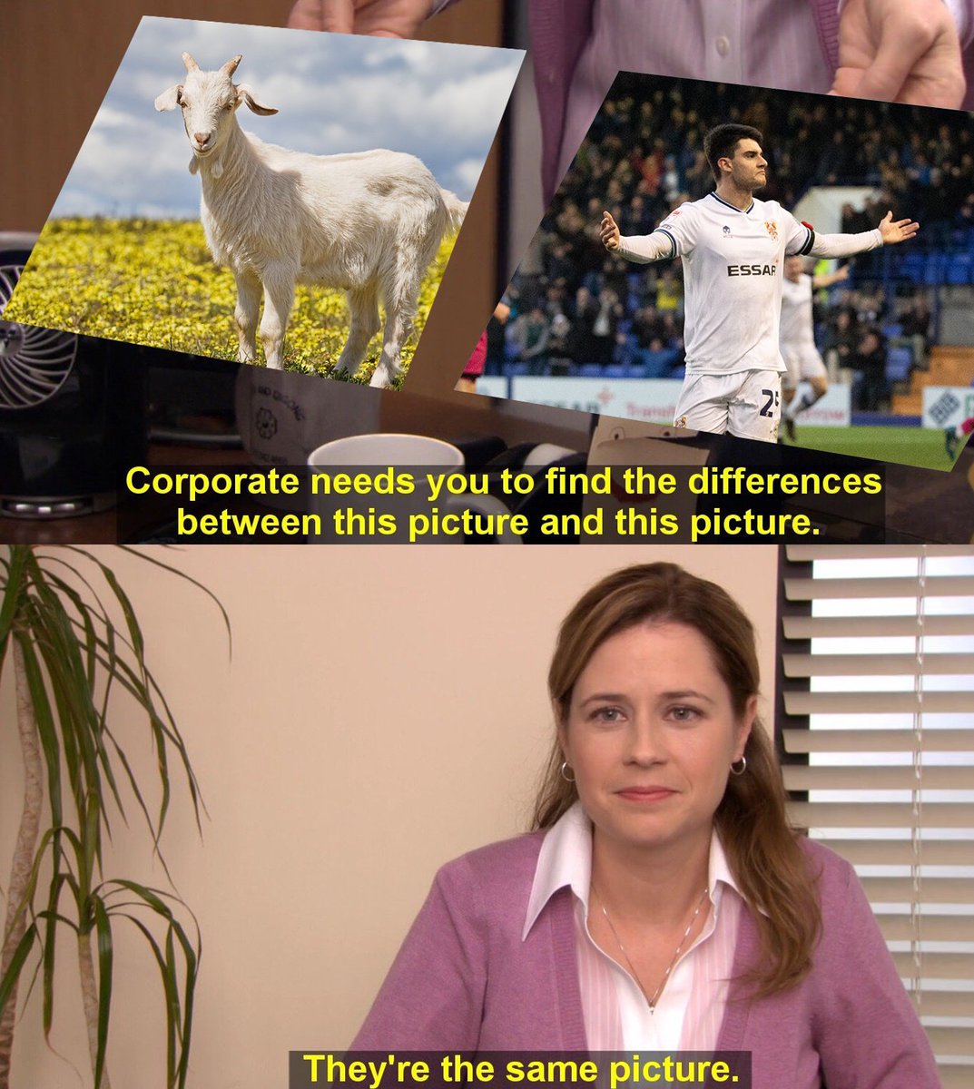 Tranmere Rovers FC tweet media