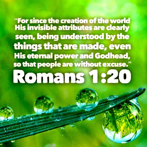 JOSHUA PROJECT tweet media