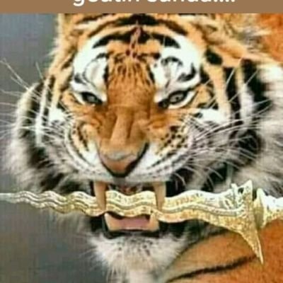 SDepree56499's tweet photo. Sharing and giving sincerely. Let't network peacefully without pressure and pleasantly for prosperity together. https://t.co/Kj0qDDKerY
