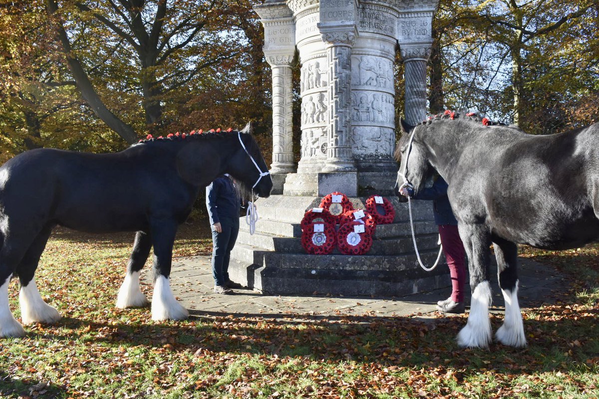 “They shall grow not old, as we that are left grow old:
Age shall not weary them, nor the years condemn.
At the going down of the sun and in the morning
We will remember them”