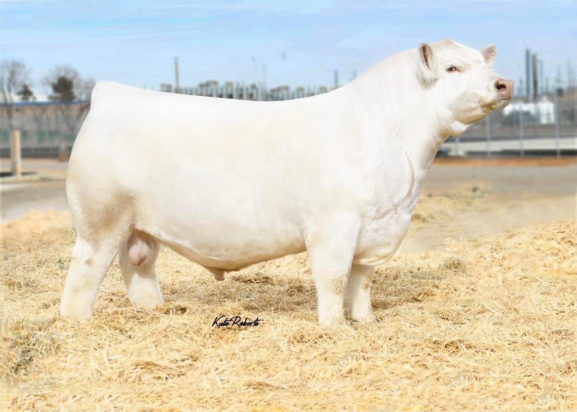 Steppler Andre tweet media