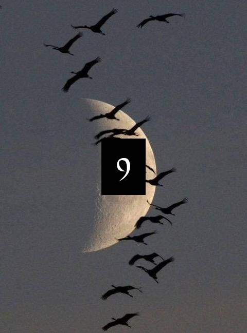 #SlamWords #76thEdition #encore - round 9               

Your prompt this round: come together                                                           

#GuestHost - @Carolinagrl7

Write a Scene or Dialogue // *all styles-genres welcome*    

#LetsWrite