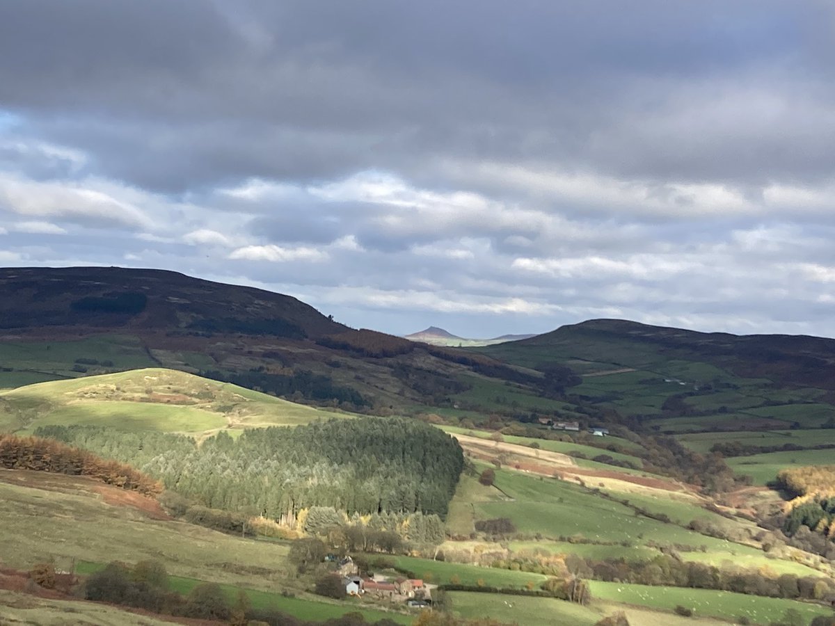 ratherbrunning's tweet image. Autumn is definitely my favourite season. 🍂 Absolutely stunning to be running on the moors today. Felt
grateful more than once to be doing what I do. Also grateful that my trainers lasted another long run 😆🏃🏼‍♀️💜 #fellrunning #autumnvibes #nymoors #roseberrytopping #osmotherley