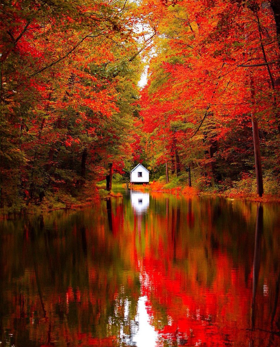 Wonderful Weekend 💫🍂🍁🥀 By Gtr Photography, New England #nature #NaturePhotography