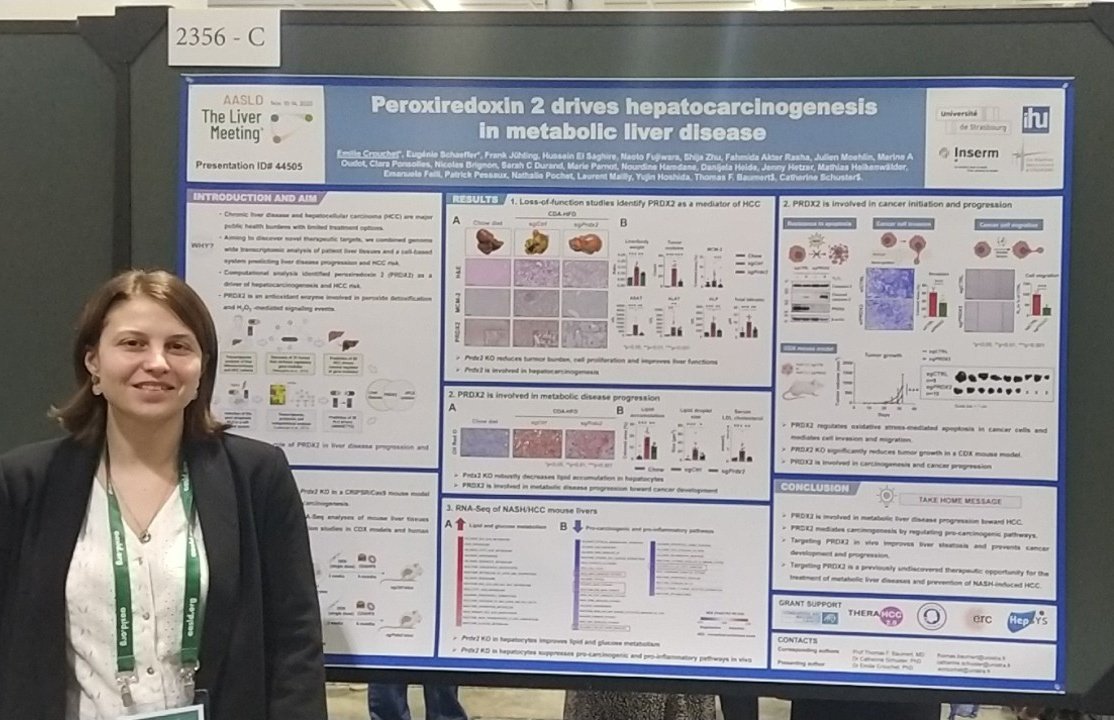 Amazing posters and where to find them: 2356-C - PRDX2 and hepatocarcinogenesis in metabolic liver disease - Inserm U1110 #TLM23 @AASLDtweets #LiverTwitter