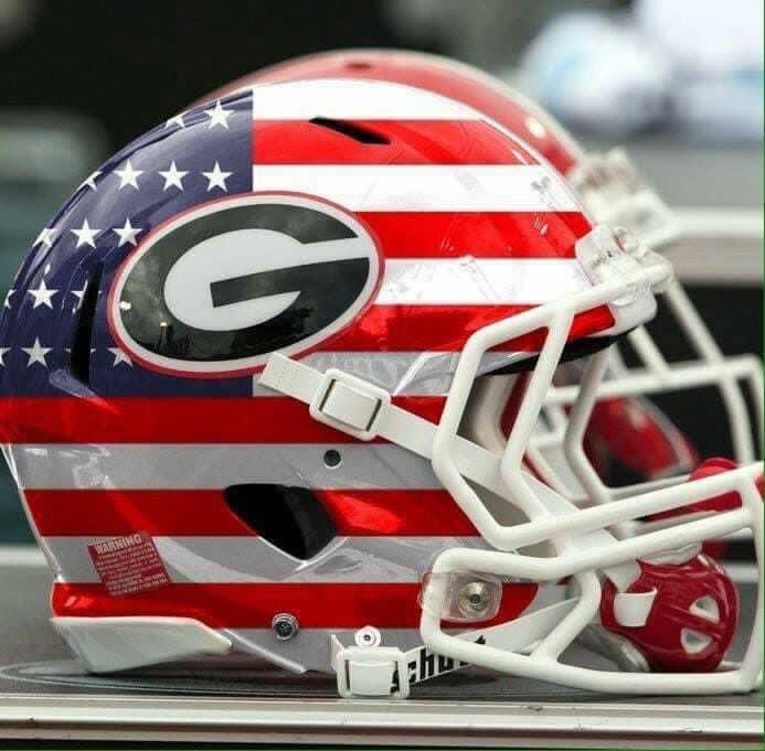 TugCowart's tweet image. Happy Veterans Day!!! #ThemDawgsIsHell