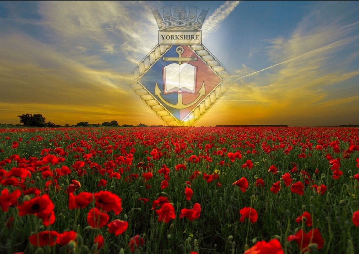 'They shall grow not old, as we that are left grow old: Age shall not weary them, nor the years condemn. At the going down of the sun and in the morning, We will remember them.' @URNUYorkshire remembers. #Remembrance #leastweforget