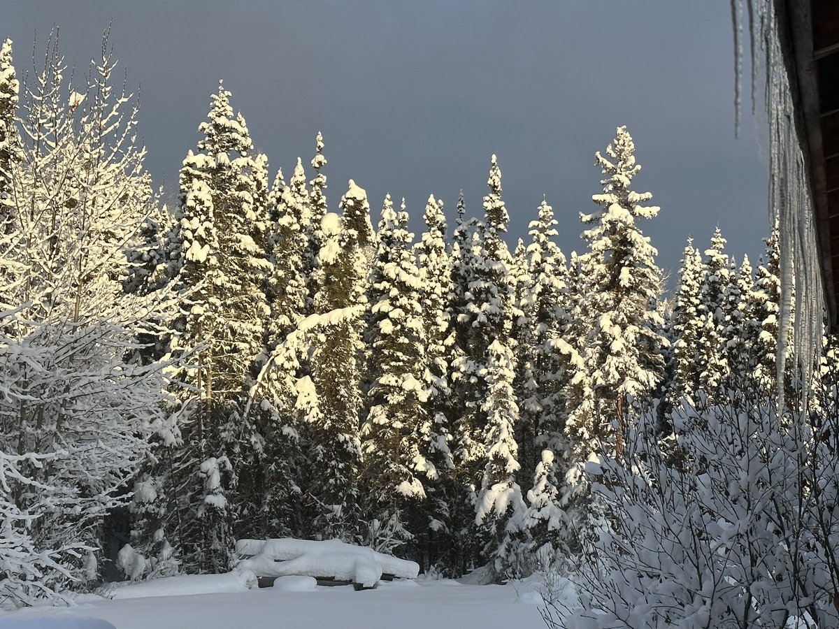 gomer2323's tweet photo. Its just pretty out there. #GotSnow❄️⛄️🥶 https://t.co/FivGkwse3w