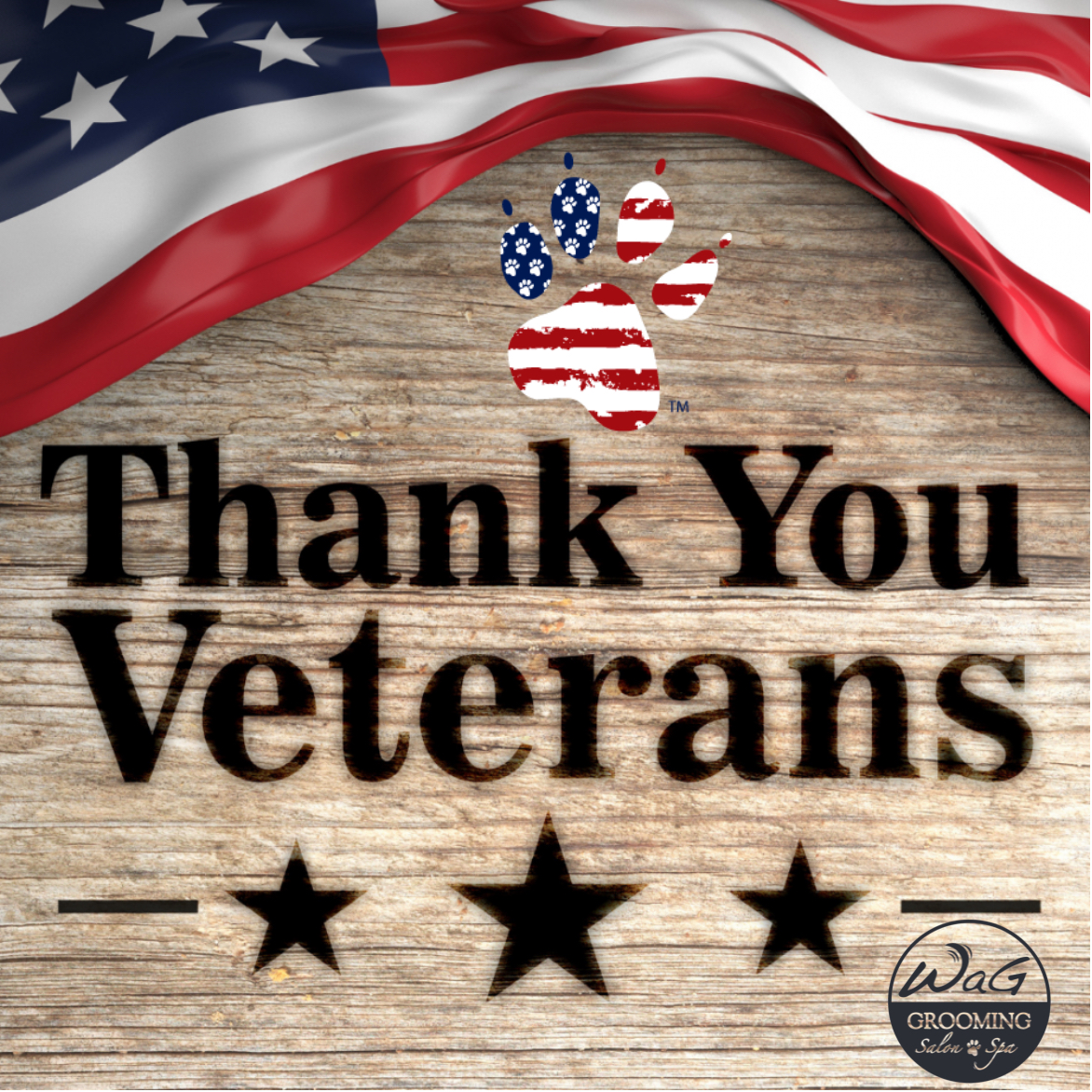 WAGPlace's tweet photo. Team WAG salutes, honors, and greatly appreciates our Veterans, today and everyday, for keeping this great country safe and free. We know our real heroes don't wear capes. They wear dog tags.  
#VeteransDay #USA #Veterans #ThankYou #K9 https://t.co/oxt91LHRZn